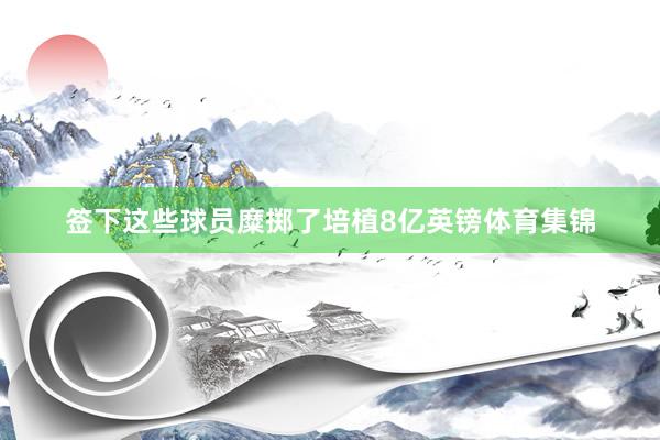 签下这些球员糜掷了培植8亿英镑体育集锦