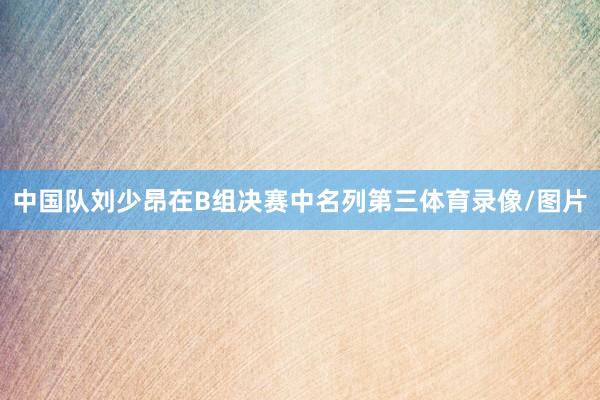中国队刘少昂在B组决赛中名列第三体育录像/图片