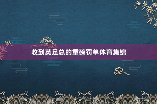 收到英足总的重磅罚单体育集锦