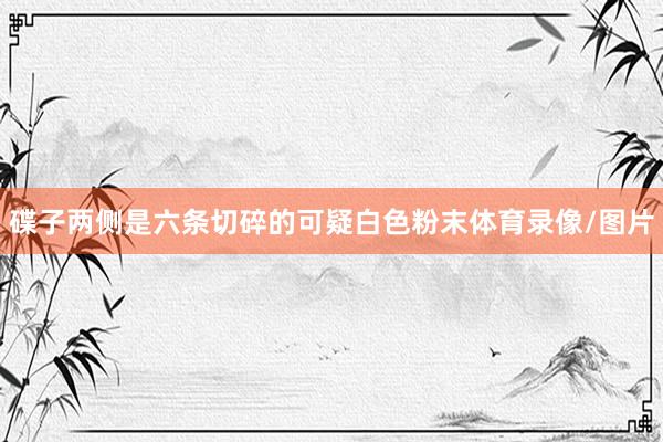 碟子两侧是六条切碎的可疑白色粉末体育录像/图片