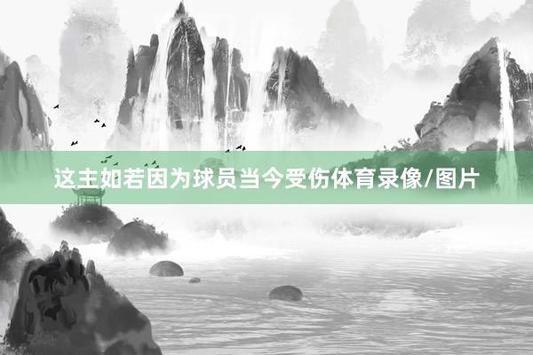 这主如若因为球员当今受伤体育录像/图片