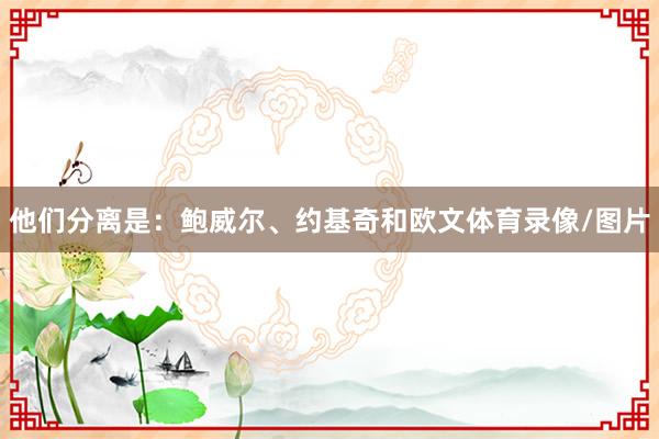 他们分离是：鲍威尔、约基奇和欧文体育录像/图片