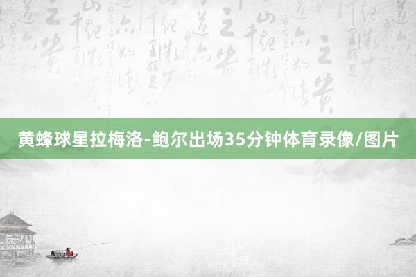 黄蜂球星拉梅洛-鲍尔出场35分钟体育录像/图片
