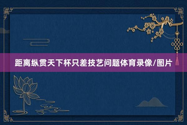 距离纵贯天下杯只差技艺问题体育录像/图片