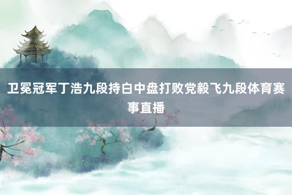 卫冕冠军丁浩九段持白中盘打败党毅飞九段体育赛事直播