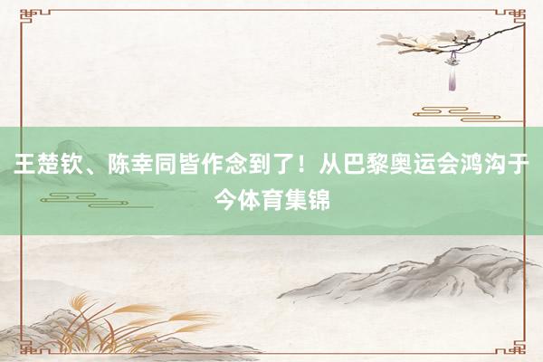 王楚钦、陈幸同皆作念到了！从巴黎奥运会鸿沟于今体育集锦