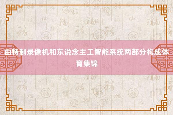 由特制录像机和东说念主工智能系统两部分构成体育集锦