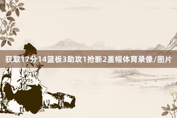 获取17分14篮板3助攻1抢断2盖帽体育录像/图片