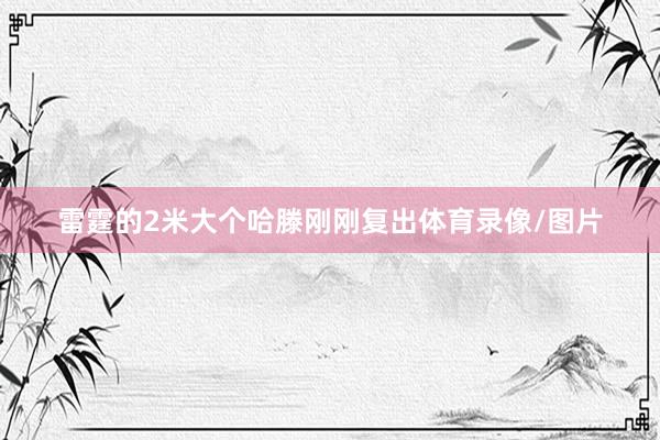 雷霆的2米大个哈滕刚刚复出体育录像/图片