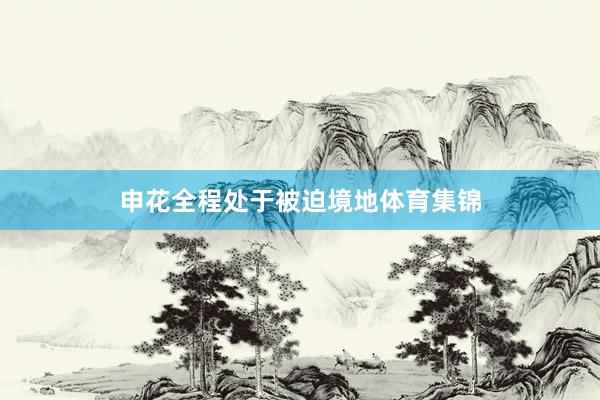 申花全程处于被迫境地体育集锦