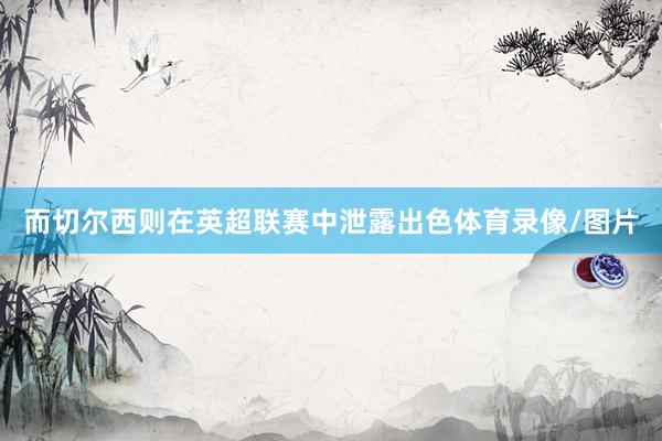 而切尔西则在英超联赛中泄露出色体育录像/图片