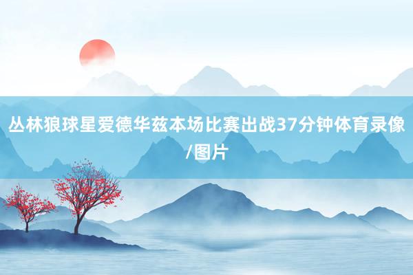 丛林狼球星爱德华兹本场比赛出战37分钟体育录像/图片