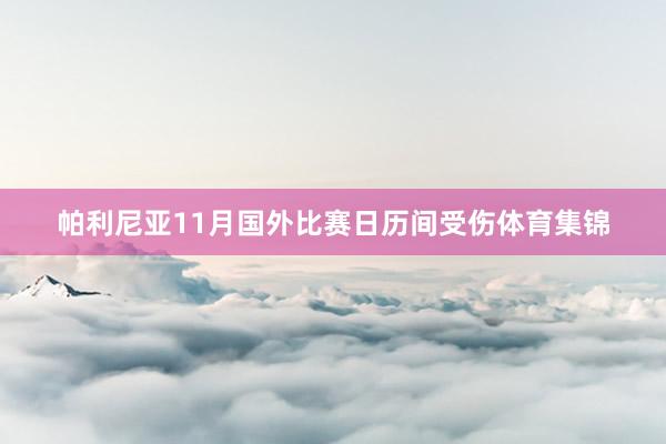 帕利尼亚11月国外比赛日历间受伤体育集锦