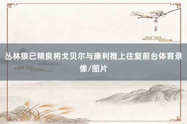 丛林狼已精良将戈贝尔与康利推上往复前台体育录像/图片