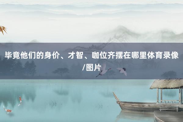毕竟他们的身价、才智、咖位齐摆在哪里体育录像/图片