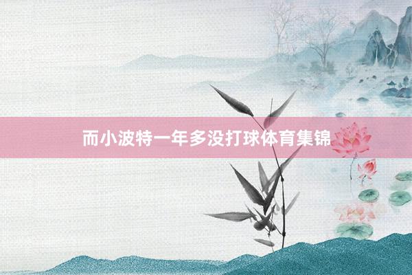 而小波特一年多没打球体育集锦