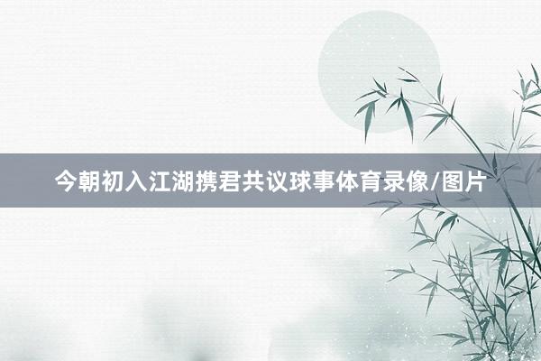 今朝初入江湖携君共议球事体育录像/图片