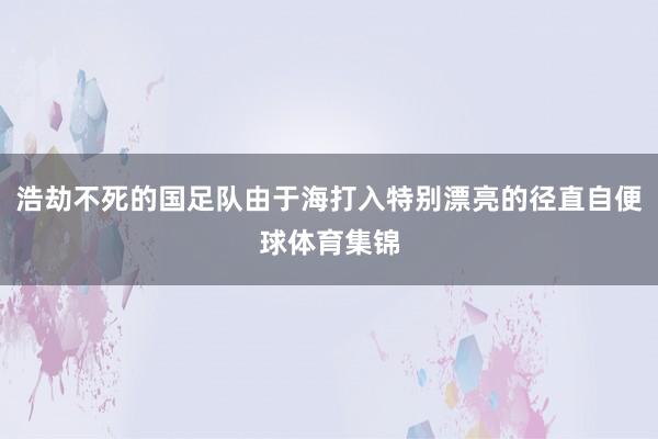 浩劫不死的国足队由于海打入特别漂亮的径直自便球体育集锦