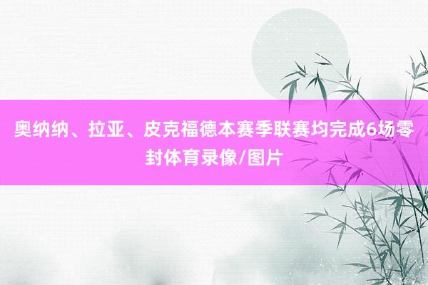 奥纳纳、拉亚、皮克福德本赛季联赛均完成6场零封体育录像/图片