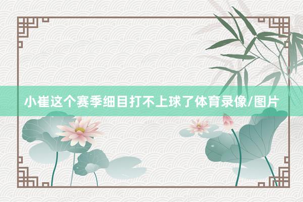 小崔这个赛季细目打不上球了体育录像/图片