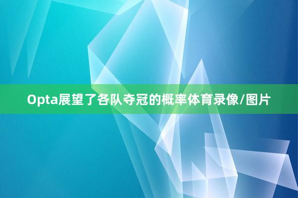 Opta展望了各队夺冠的概率体育录像/图片