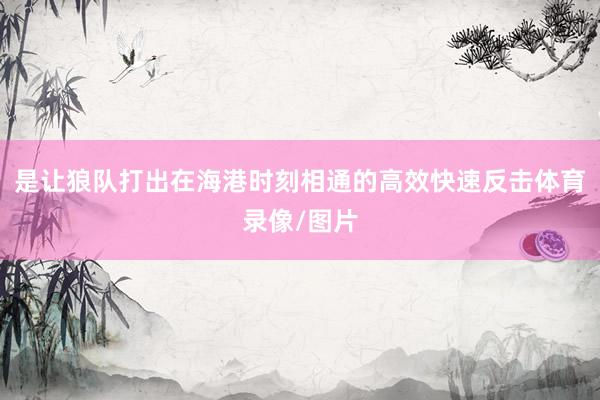 是让狼队打出在海港时刻相通的高效快速反击体育录像/图片