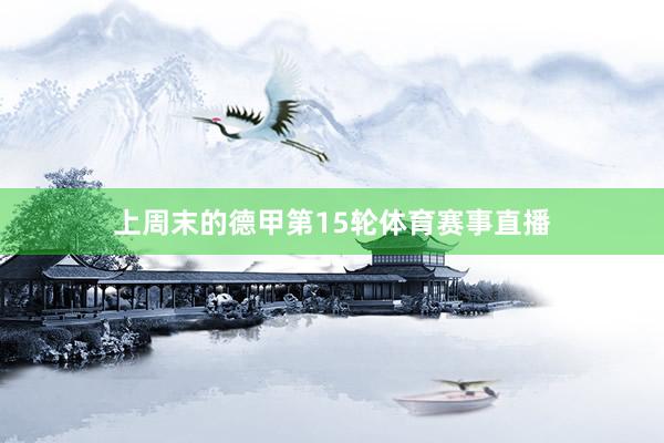 上周末的德甲第15轮体育赛事直播