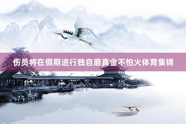 伤员将在假期进行独自磨真金不怕火体育集锦