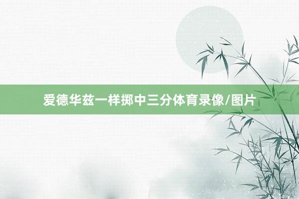 爱德华兹一样掷中三分体育录像/图片