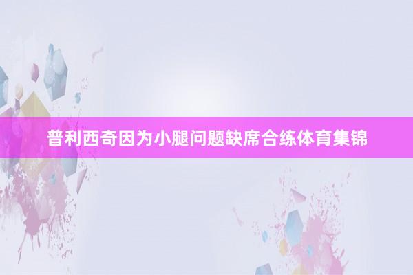 普利西奇因为小腿问题缺席合练体育集锦