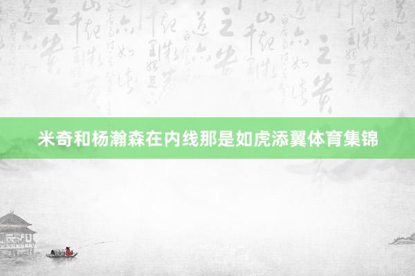 米奇和杨瀚森在内线那是如虎添翼体育集锦