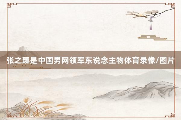 张之臻是中国男网领军东说念主物体育录像/图片