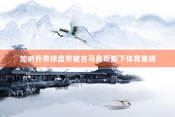 加纳乔带球盘带被吉马良斯断下体育集锦