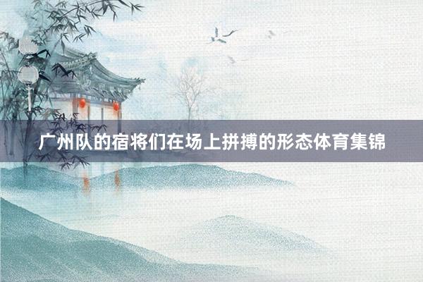 广州队的宿将们在场上拼搏的形态体育集锦