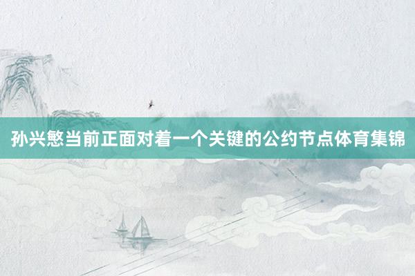 孙兴慜当前正面对着一个关键的公约节点体育集锦