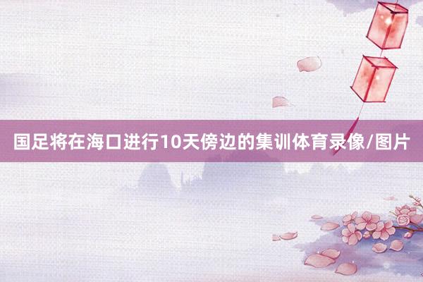 国足将在海口进行10天傍边的集训体育录像/图片