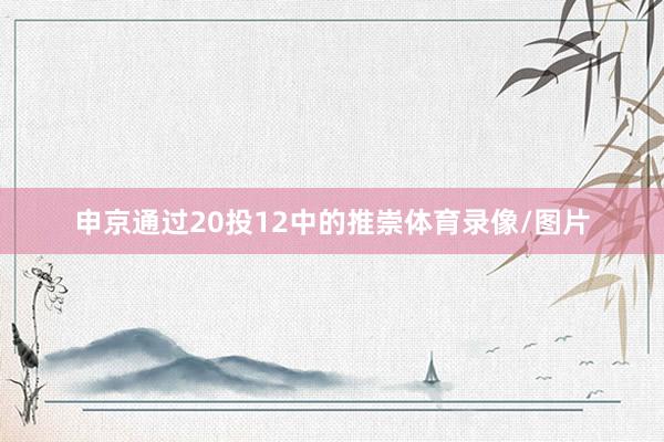 申京通过20投12中的推崇体育录像/图片