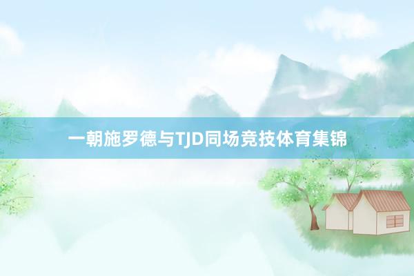 一朝施罗德与TJD同场竞技体育集锦