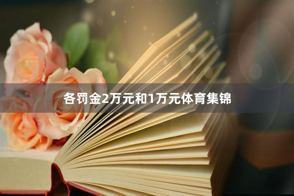 各罚金2万元和1万元体育集锦
