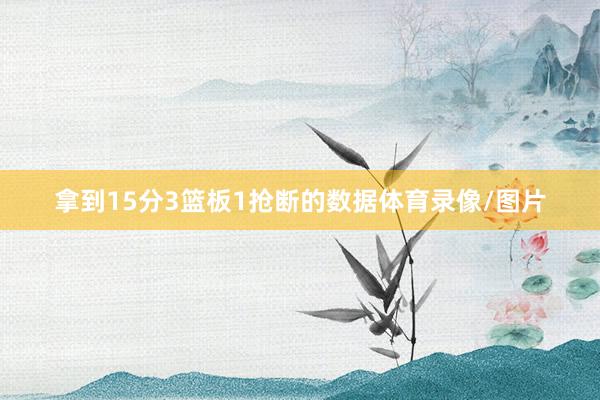 拿到15分3篮板1抢断的数据体育录像/图片