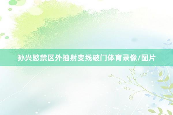 孙兴慜禁区外抽射变线破门体育录像/图片