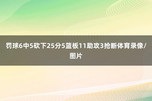罚球6中5砍下25分5篮板11助攻3抢断体育录像/图片