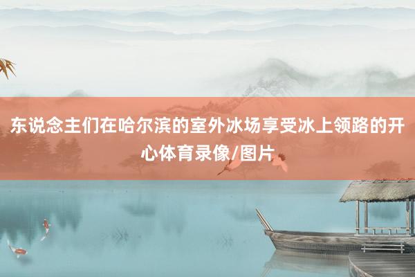 东说念主们在哈尔滨的室外冰场享受冰上领路的开心体育录像/图片