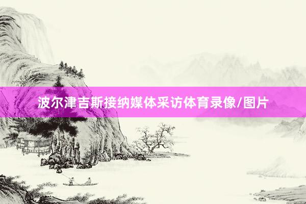 波尔津吉斯接纳媒体采访体育录像/图片