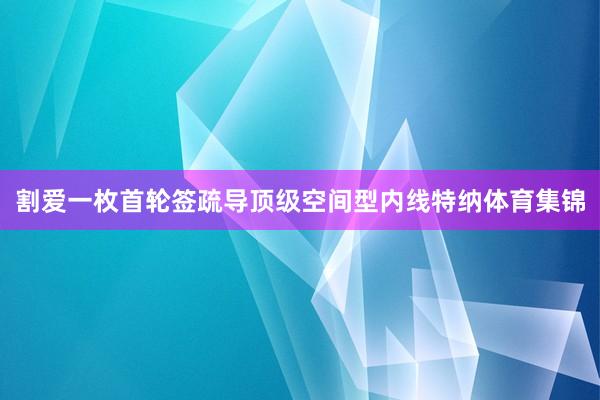 割爱一枚首轮签疏导顶级空间型内线特纳体育集锦