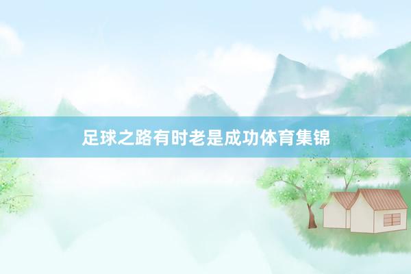 足球之路有时老是成功体育集锦