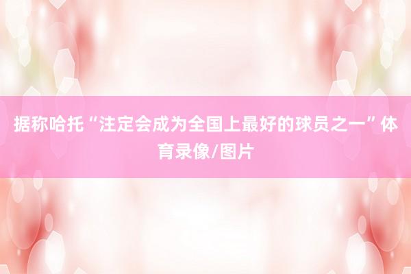 据称哈托“注定会成为全国上最好的球员之一”体育录像/图片