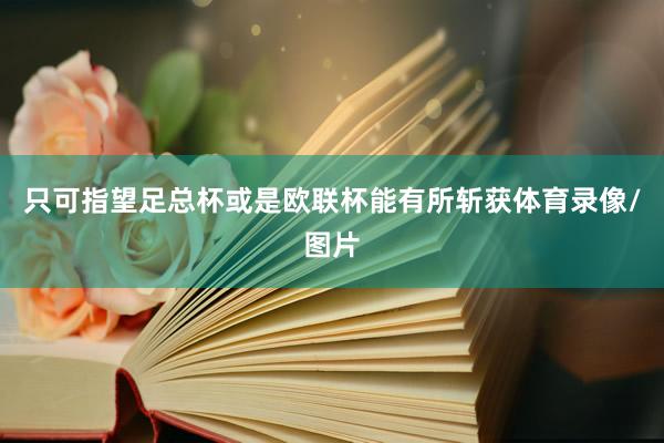 只可指望足总杯或是欧联杯能有所斩获体育录像/图片