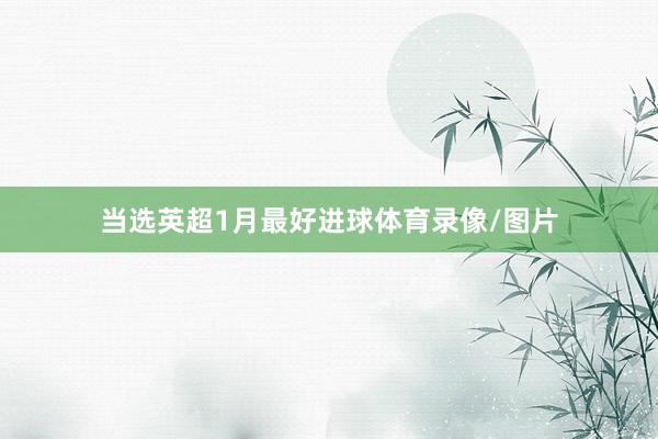 当选英超1月最好进球体育录像/图片