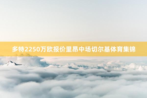 多特2250万欧报价里昂中场切尔基体育集锦